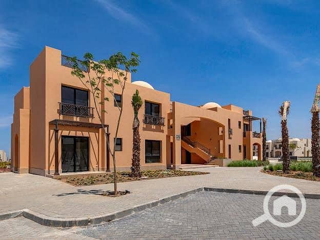 4 552723487_4203387466589462_1707998462563357176_n. jpg