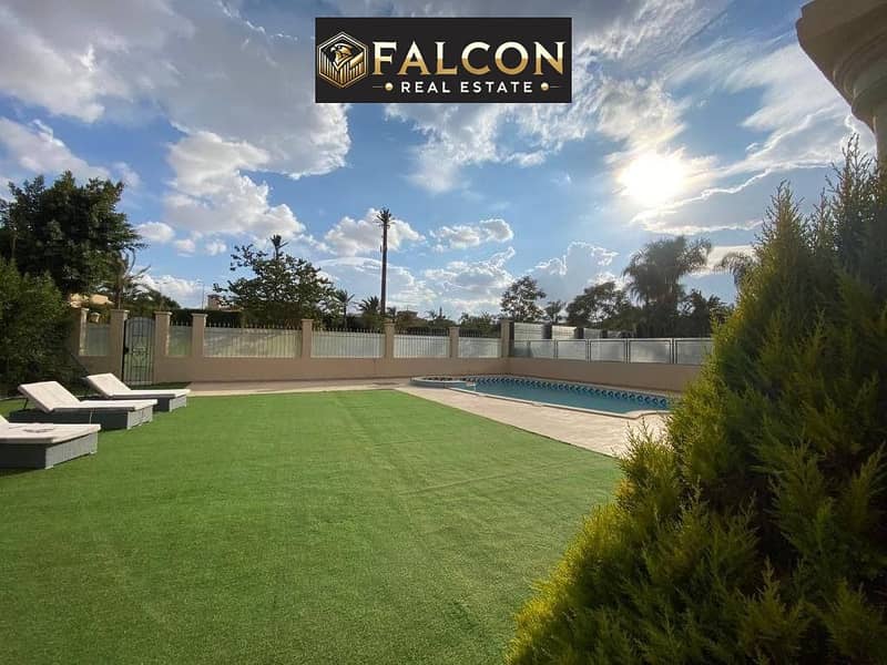 11 WhatsApp Image 2025-02-12 at 2.44. 48 PM. jpeg