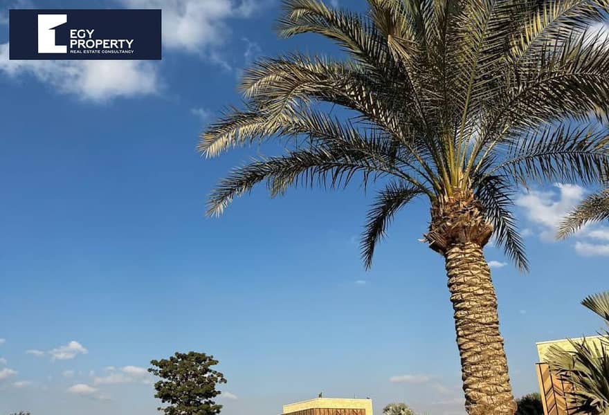 7 9c5b2fde-4379-48d1-96e7-596c76b80383 (1). jpg