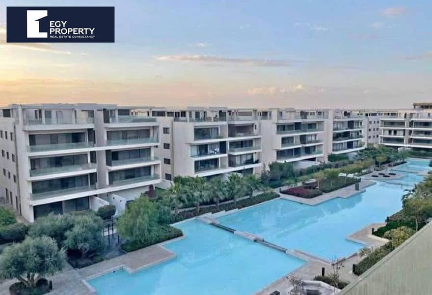 11 51738cb4-f8db-4cb7-8c30-4f730fa7a7eb (1). jpg