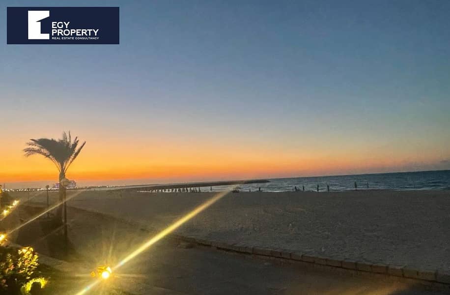 5 597933f5-7ba6-4358-940b-2317542c3039. jpg