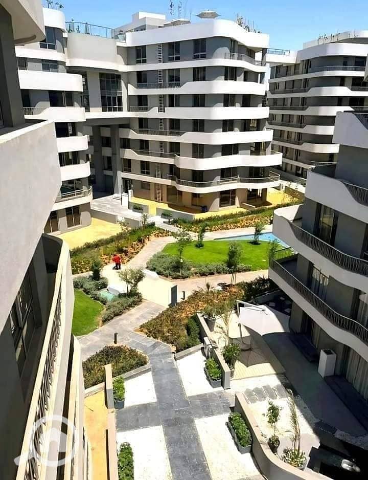 4 472347783_122185865258170009_1938760743921033524_n. jpg