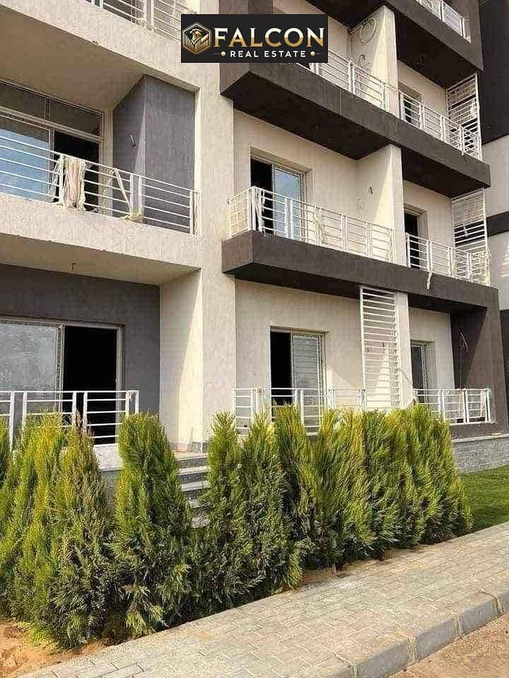 6 WhatsApp Image 2024-12-10 at 16.29. 52_8a324ef3. jpg