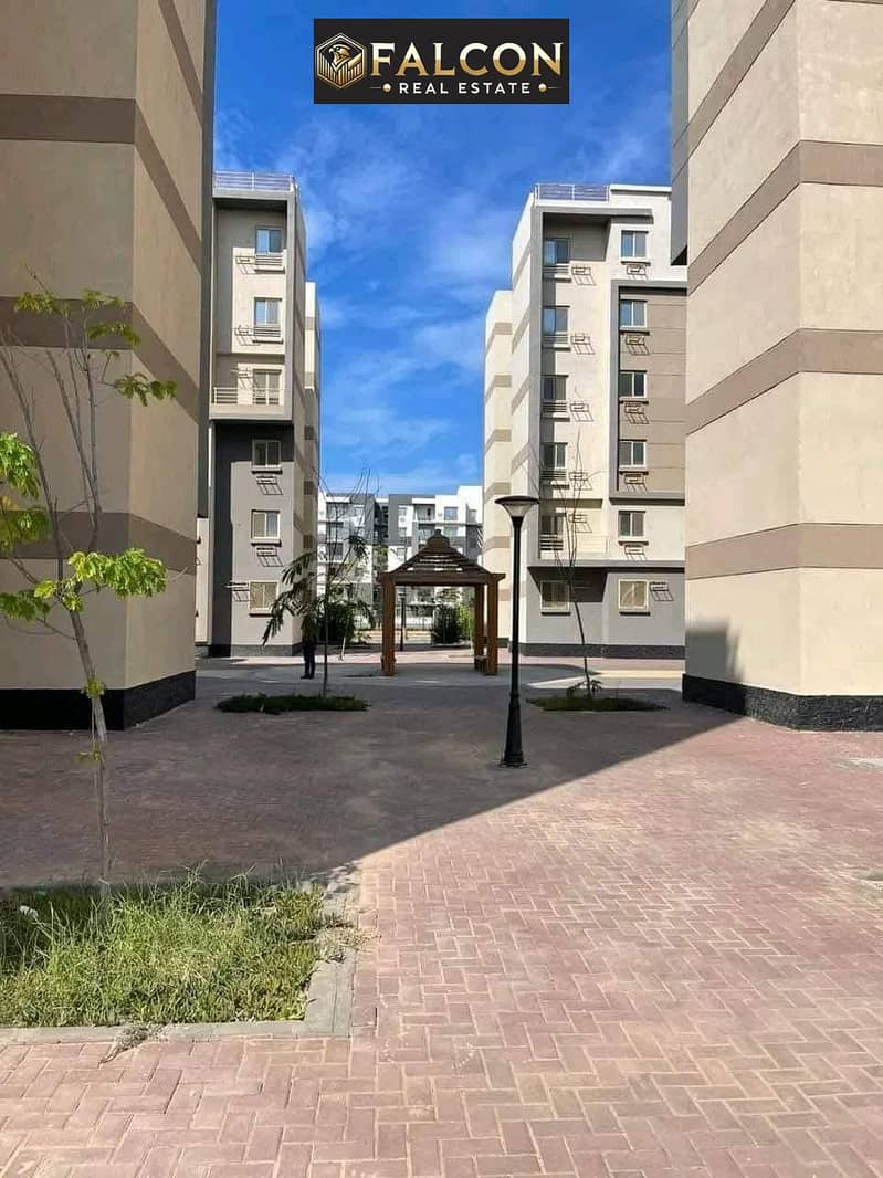 7 WhatsApp Image 2024-12-10 at 16.29. 53_c8978156. jpg