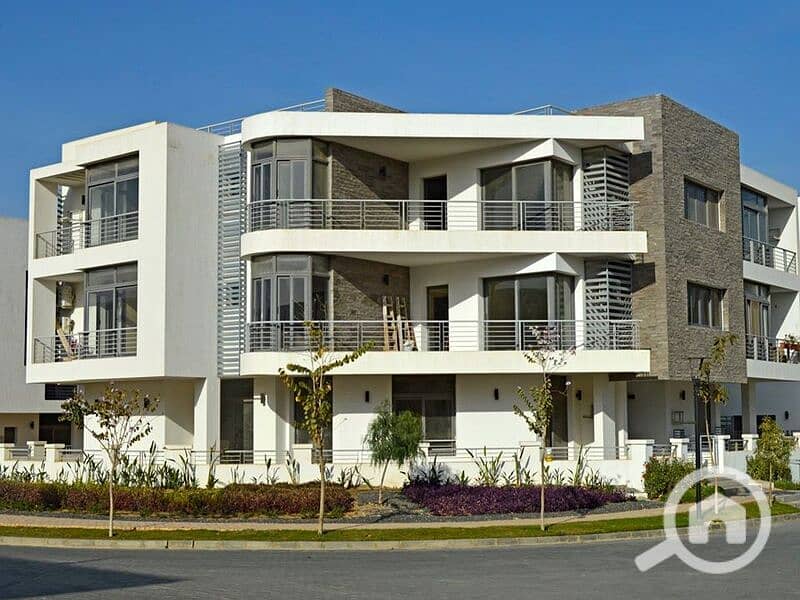 4 97475936_2586592074922851_285118887094124544_n. jpg