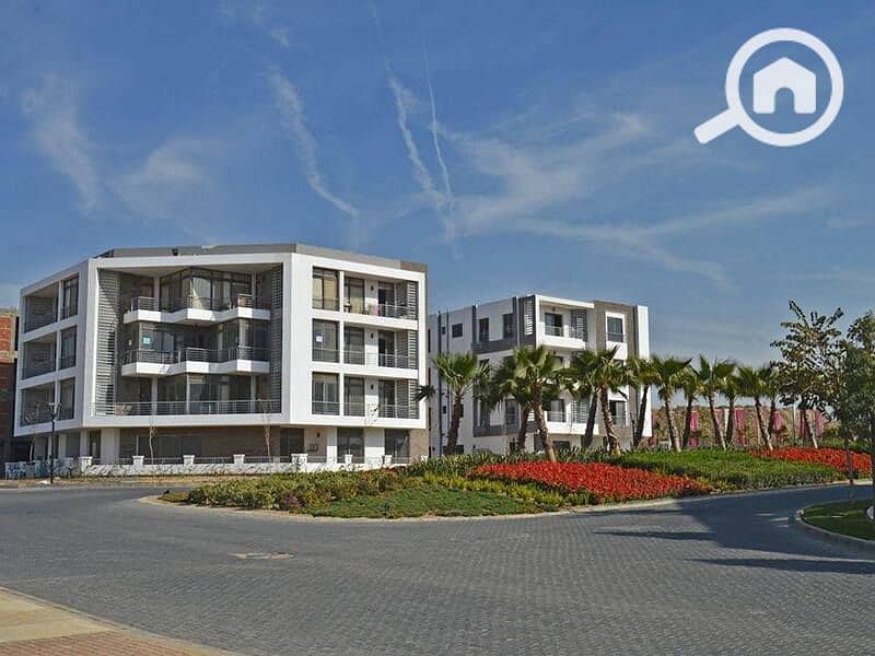 6 74341541_2619384151643643_484023230640770602_n. jpg