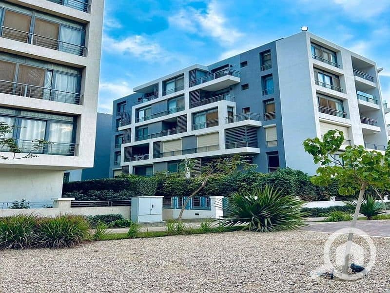 12 424674753_406027611995708_3259016736355587415_n. jpg