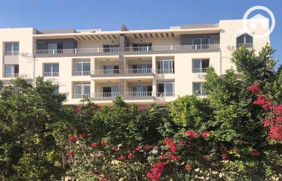 4 0bc5a5d4-d022-4607-b9a5-347a1f24aa1a. jpg