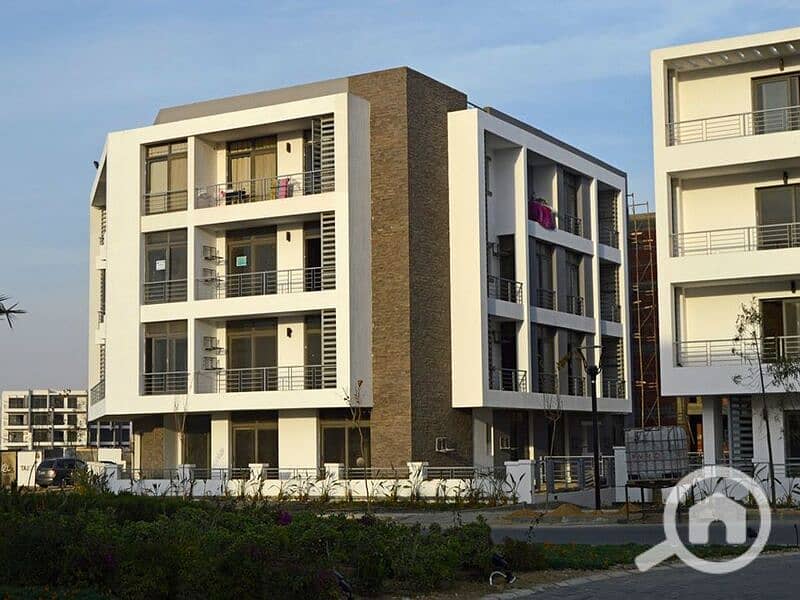 11 95913388_2575615516020507_2006567888437116928_n. jpg