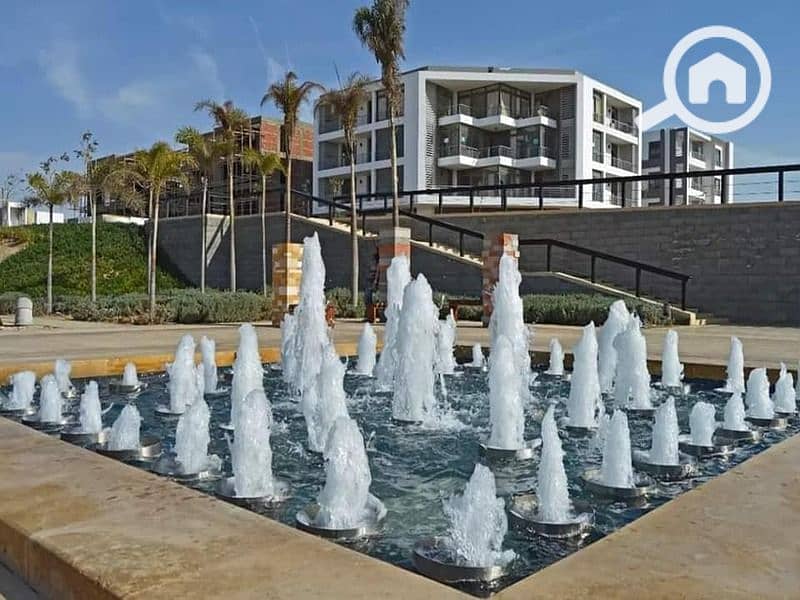 13 330625494_5881388771945661_2297170196936903666_n. jpg