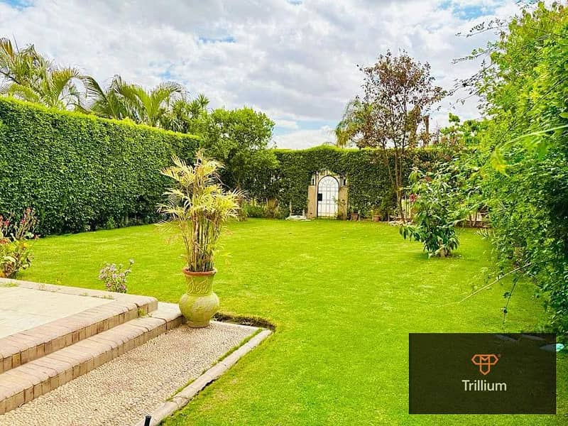 10 491396873_122218601042197794_1666371655863529181_n. jpg