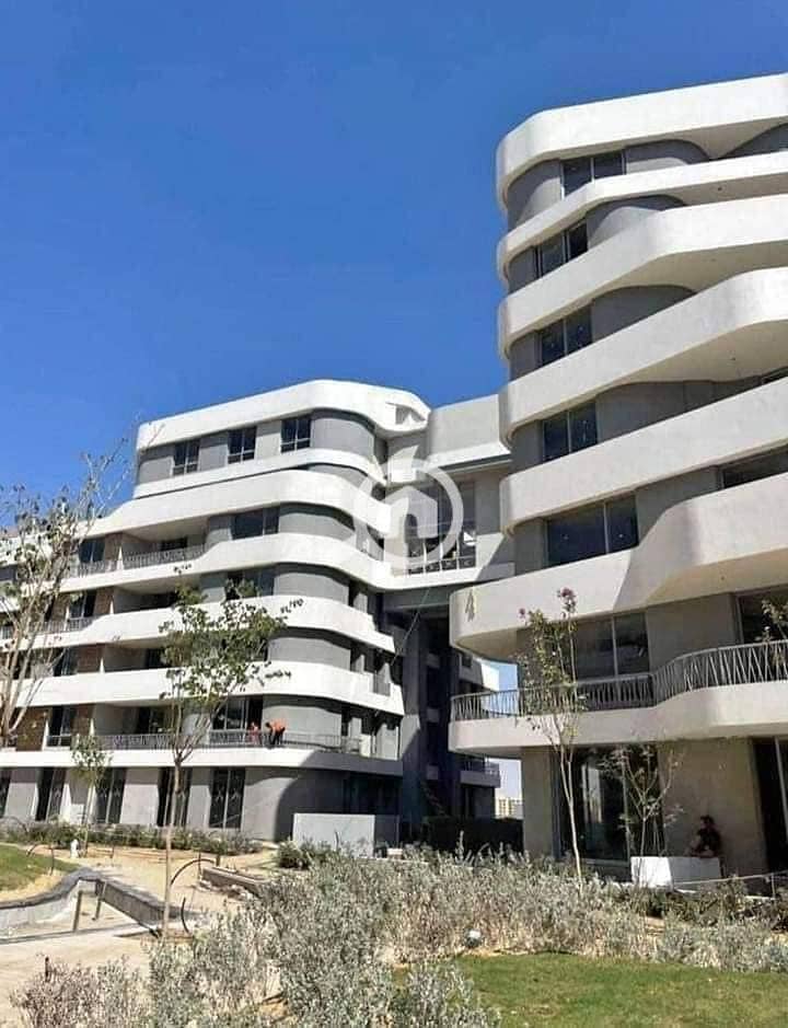 8 472501342_122185865228170009_4323867963281261251_n. jpg