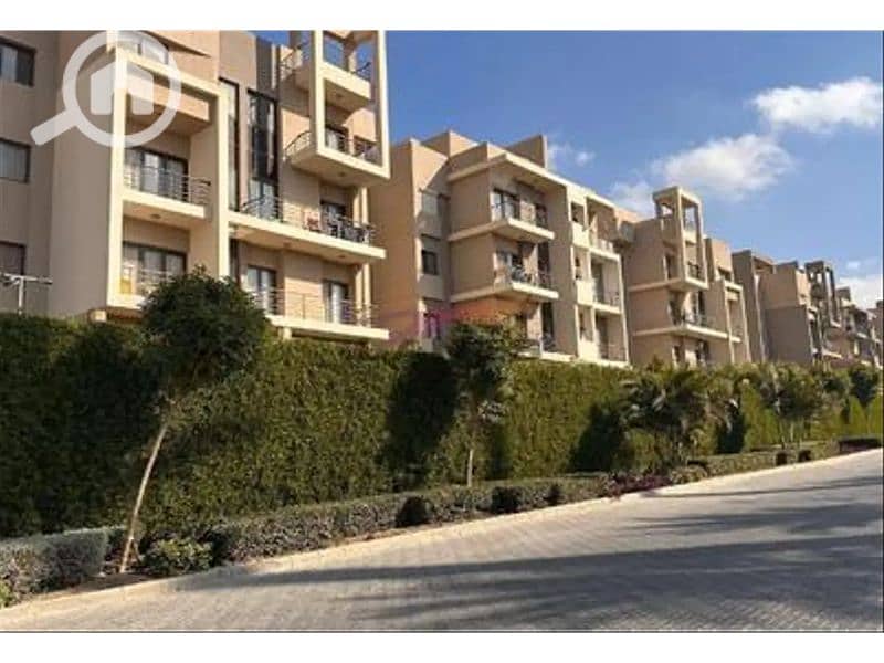 11 6627559-8f1dbo. jpg