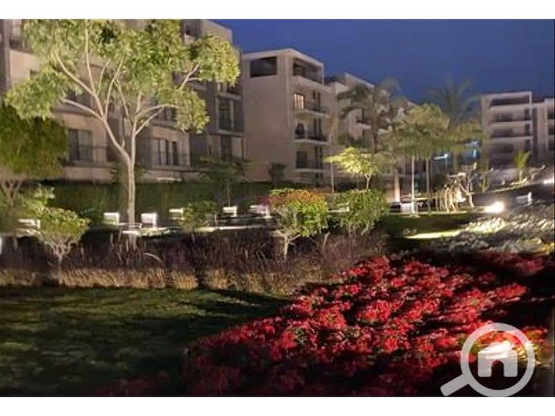 13 6627559-b8bc6o. jpg