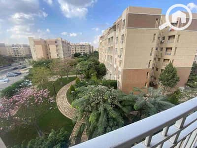 2 Bedroom Apartment for Rent in Madinaty, Cairo - 1000031848. jpg