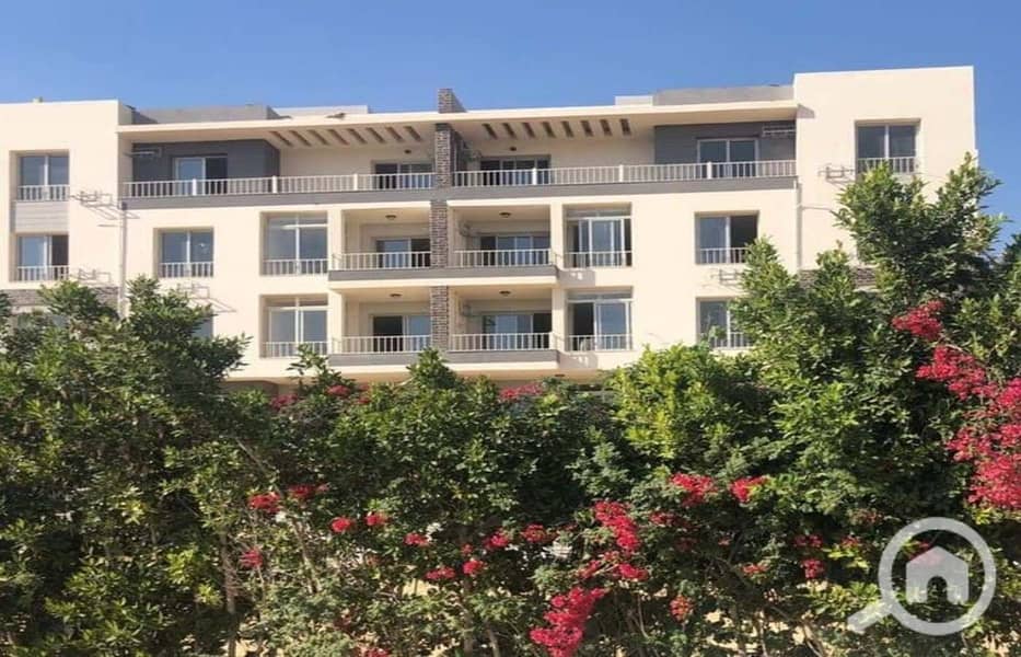 2 0bc5a5d4-d022-4607-b9a5-347a1f24aa1a. jpg