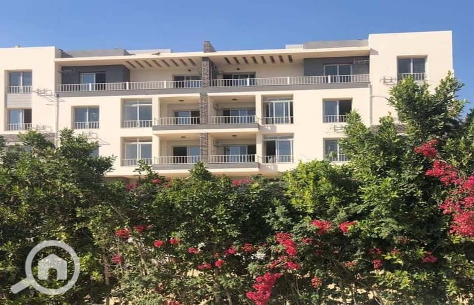 3 0bc5a5d4-d022-4607-b9a5-347a1f24aa1a. jpg