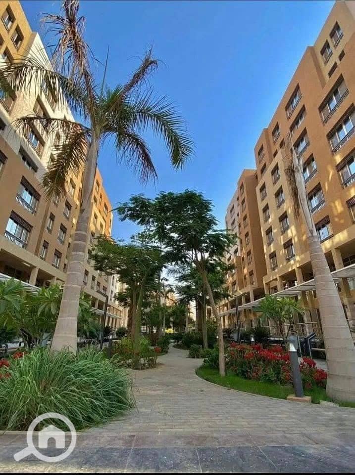 565107457_4194294200828584_7568594803387937479_n. jpg