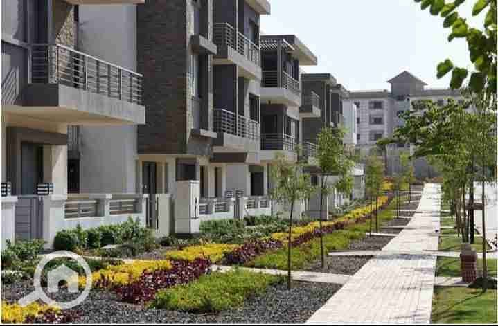 4 IMG_٢٠٢٥١٠٠٣_١٨٠٦٠٦. jpg