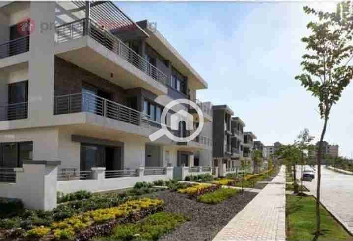 13 IMG_٢٠٢٥١٠٠٣_١٨٠٥٥٥. jpg