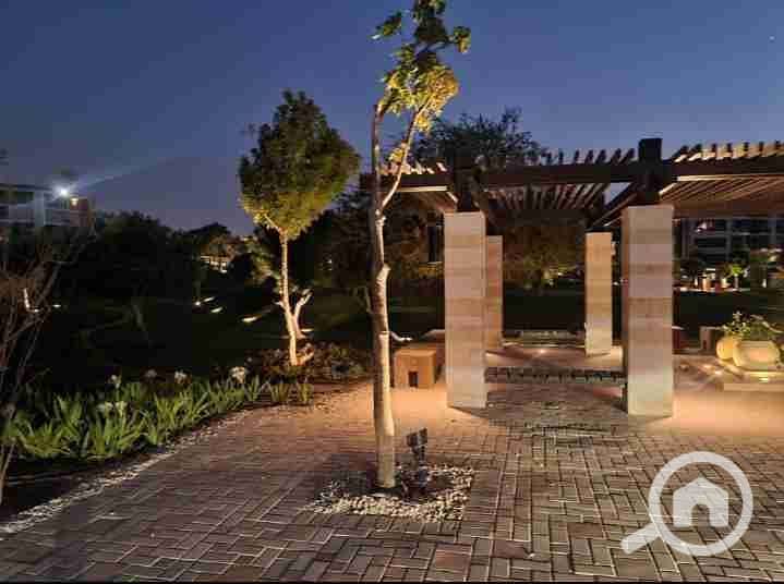 22 IMG_٢٠٢٥١٠٠٣_١٨٠٦٤٢. jpg