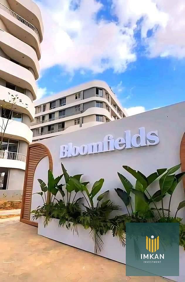 18 458654657_532808349270990_175282204713538408_n. jpg