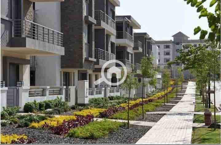 15 IMG_٢٠٢٥١٠٠٣_١٨٠٦٠٦. jpg