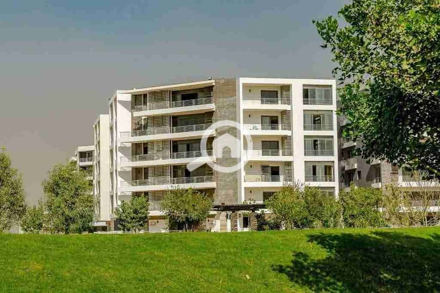 3 FB_IMG_1761414605534. jpg