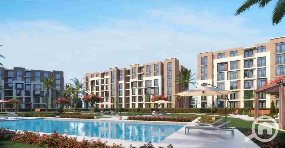 12 FB_IMG_1761281156612. jpg