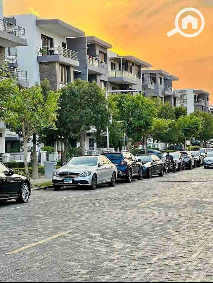 14 IMG_٢٠٢٥١٠٠٣_١٨٠٧٣٢. jpg