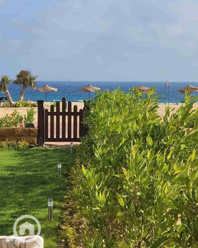 1000543048. jpg 1000543048. jpg