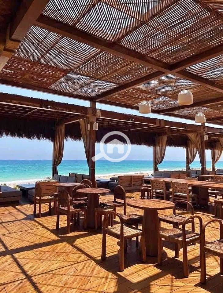 8 510477474_10017879861638590_5771369208998387963_n. jpg