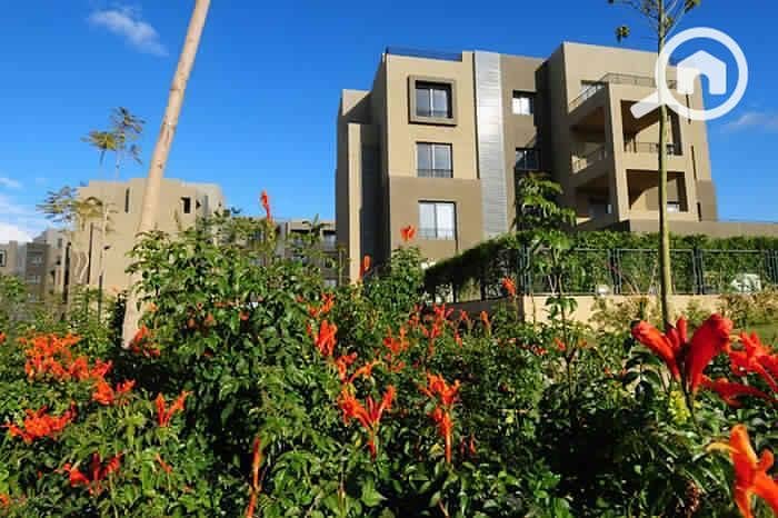 9 PHOTO-2024-05-30-11-58-00 (5). jpg