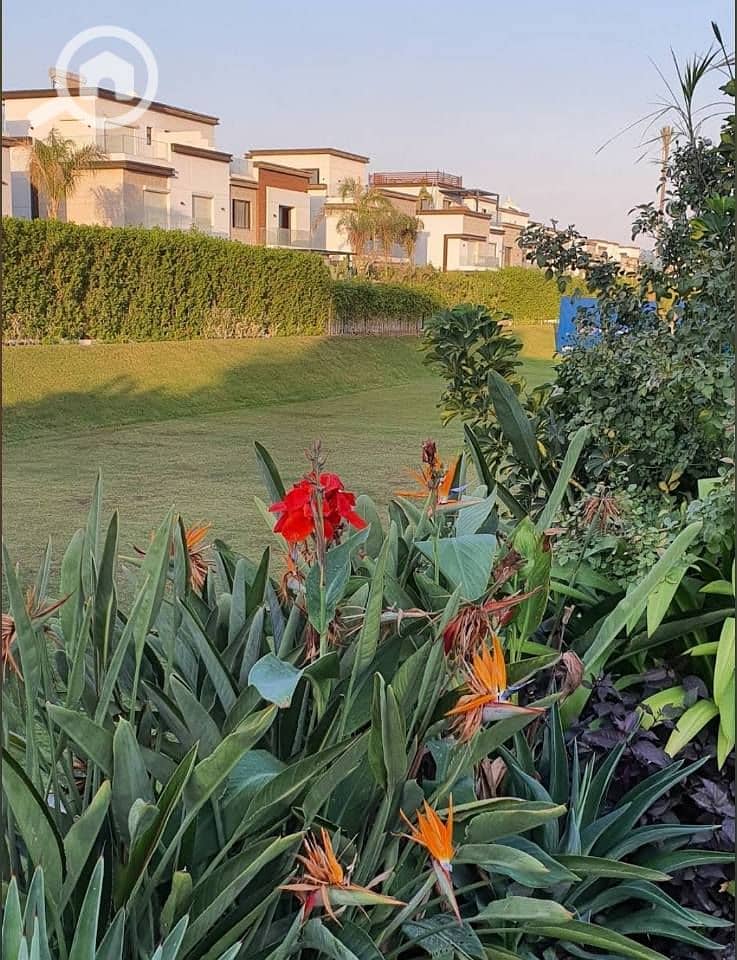 14 572836024_1114085867468913_7861412020265007948_n. jpg