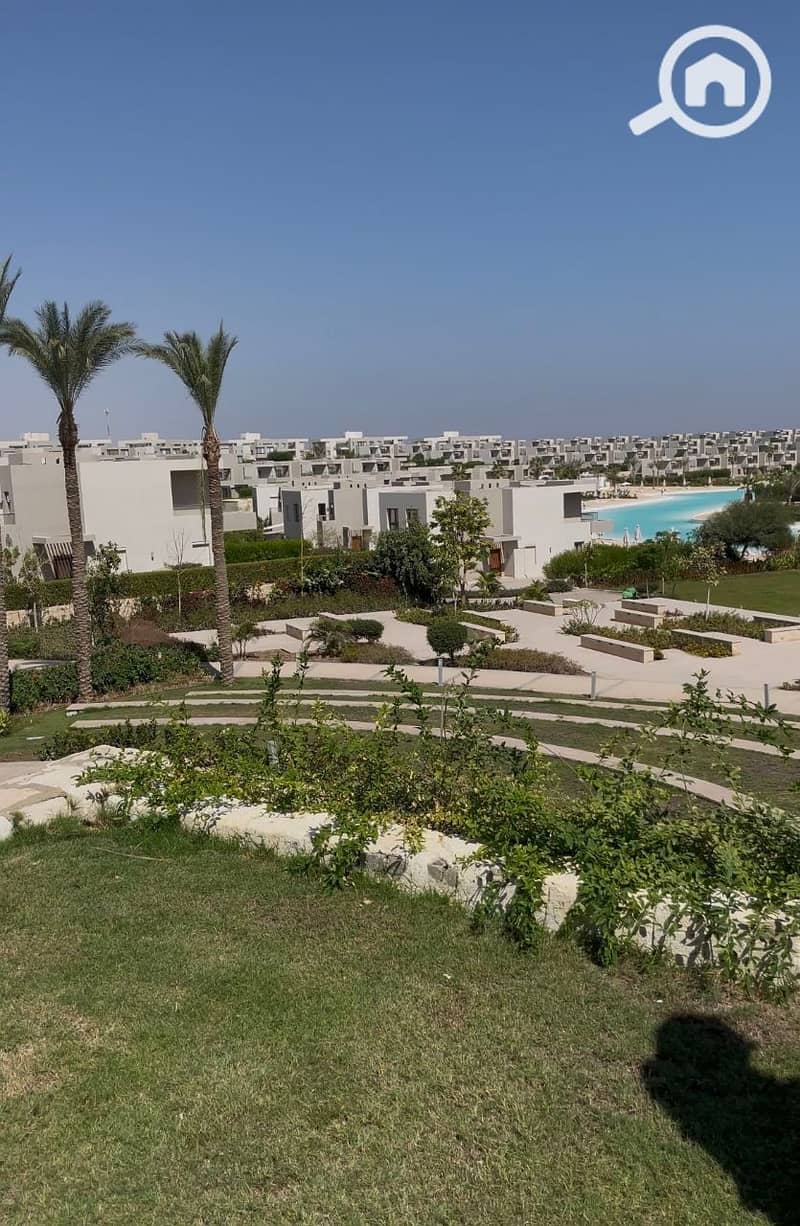 5 photo_2025-02-21_18-50-16. jpg