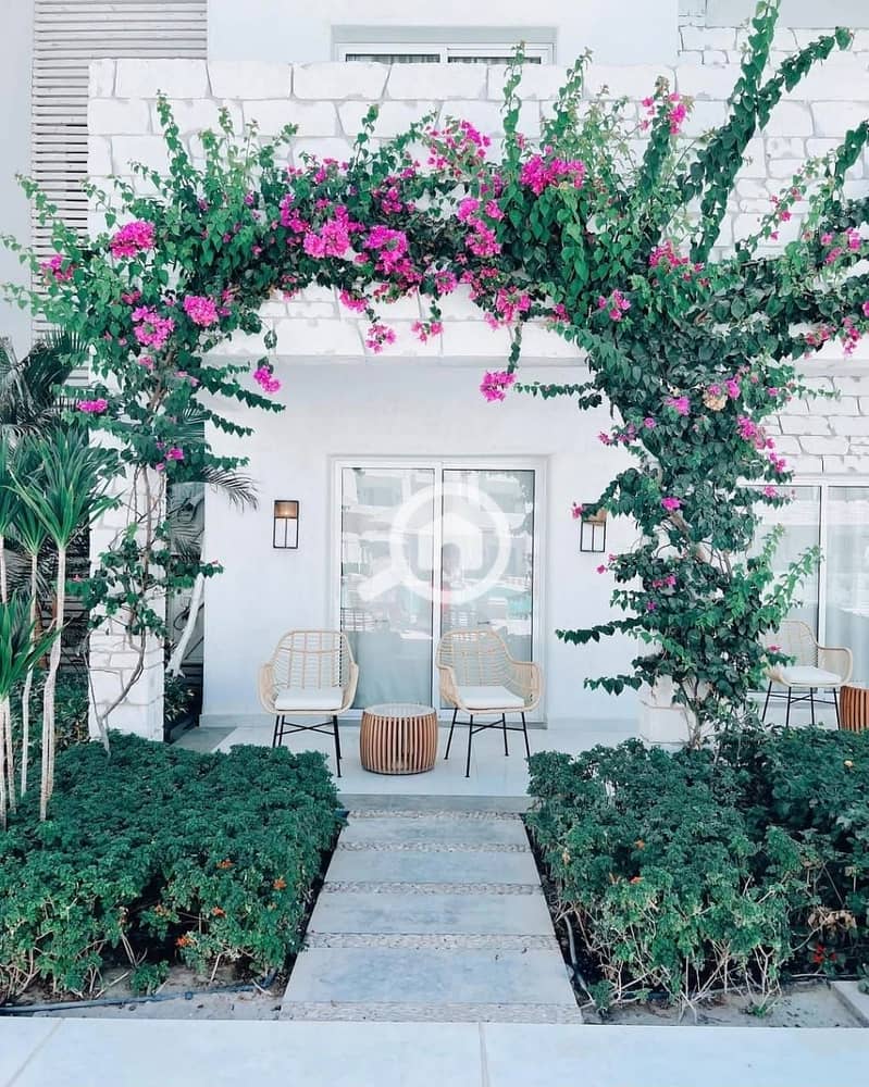 9 568237524_122147410880853868_2225221659812344735_n. jpg