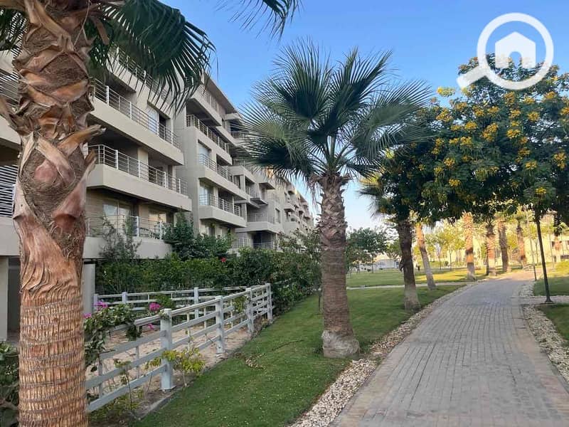 11 ed76423c-7050-488a-8e72-43f2e567c9a5. jpg