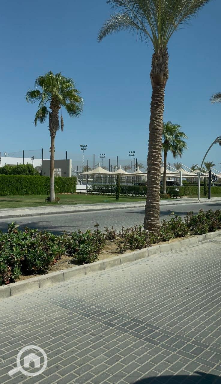 9 photo_2025-02-21_18-50-15. jpg