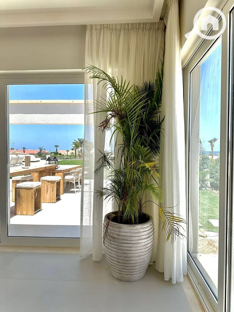 2 photo_2025-01-29_20-40-01. jpg