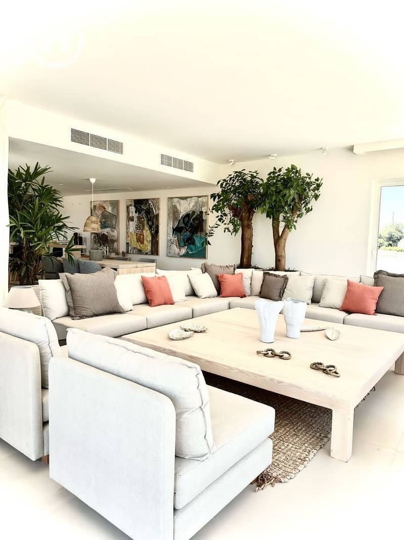 3 photo_2025-01-29_20-40-05. jpg