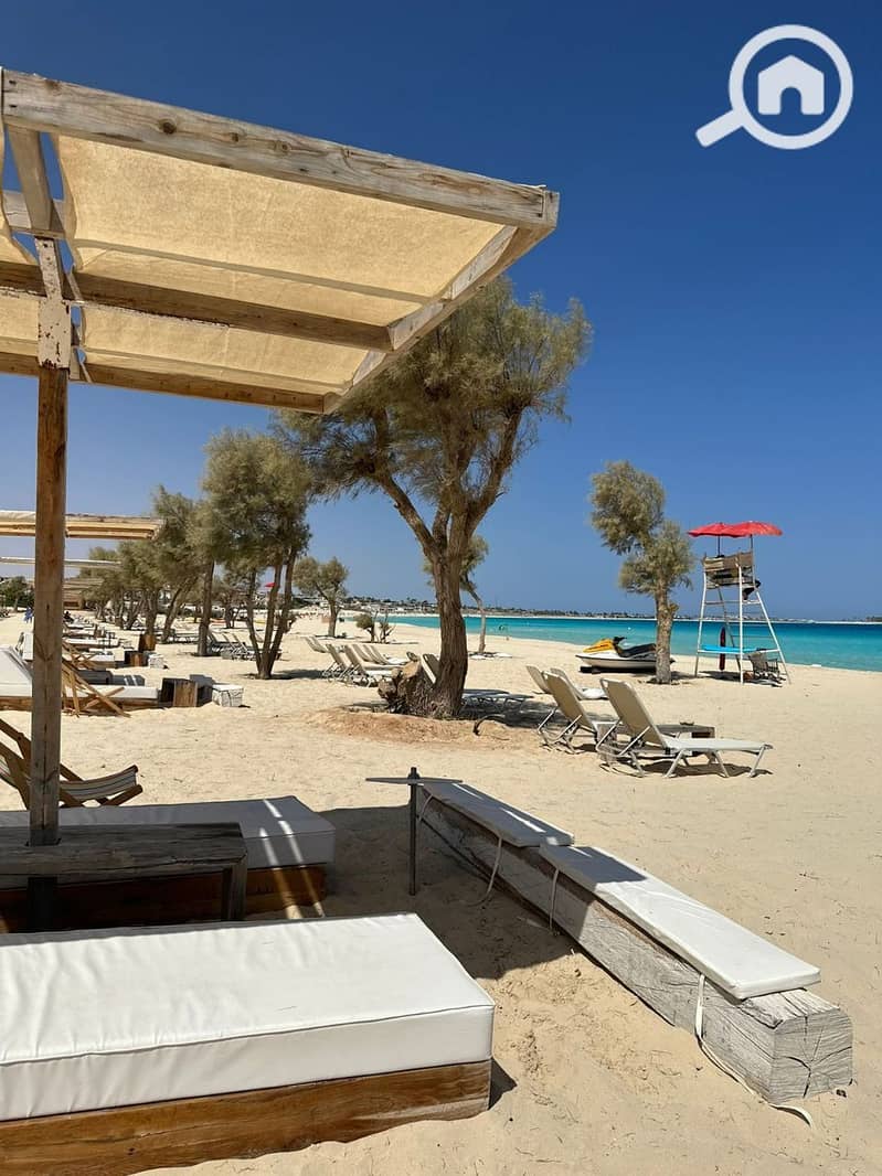 7 photo_2025-01-29_20-40-13. jpg