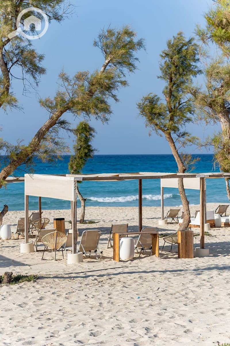 8 photo_2025-04-30_19-45-32. jpg