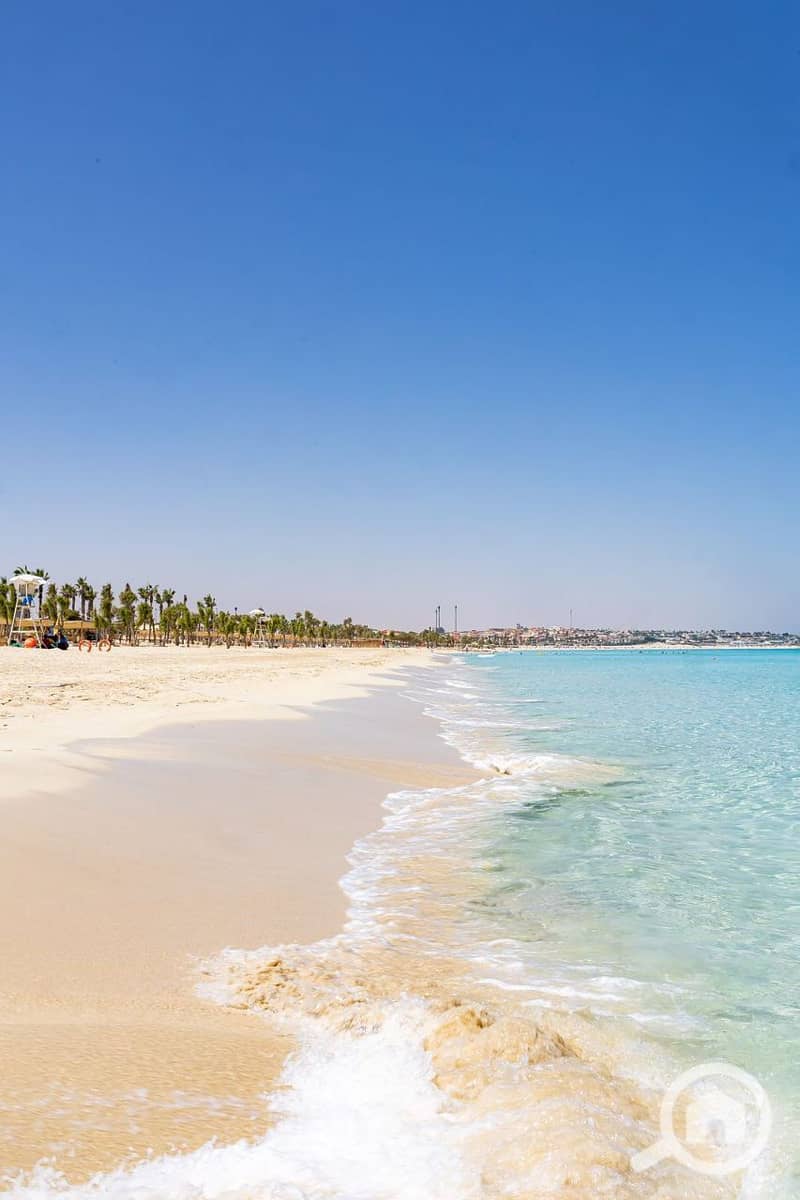 10 photo_2025-04-30_19-45-47. jpg