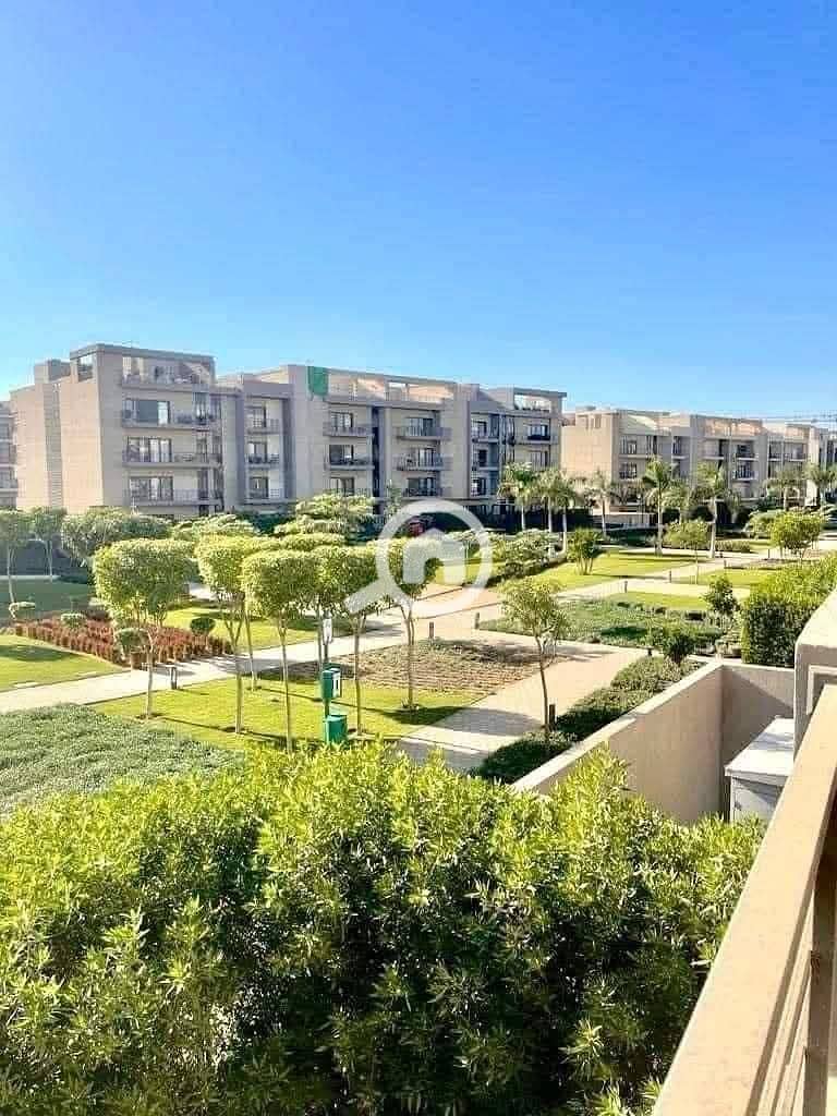 FB_IMG_1762729246551. jpg