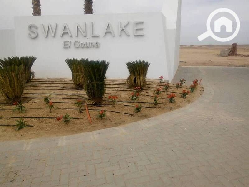 6 17361659_1864800827092801_3244201545715680963_n. jpg