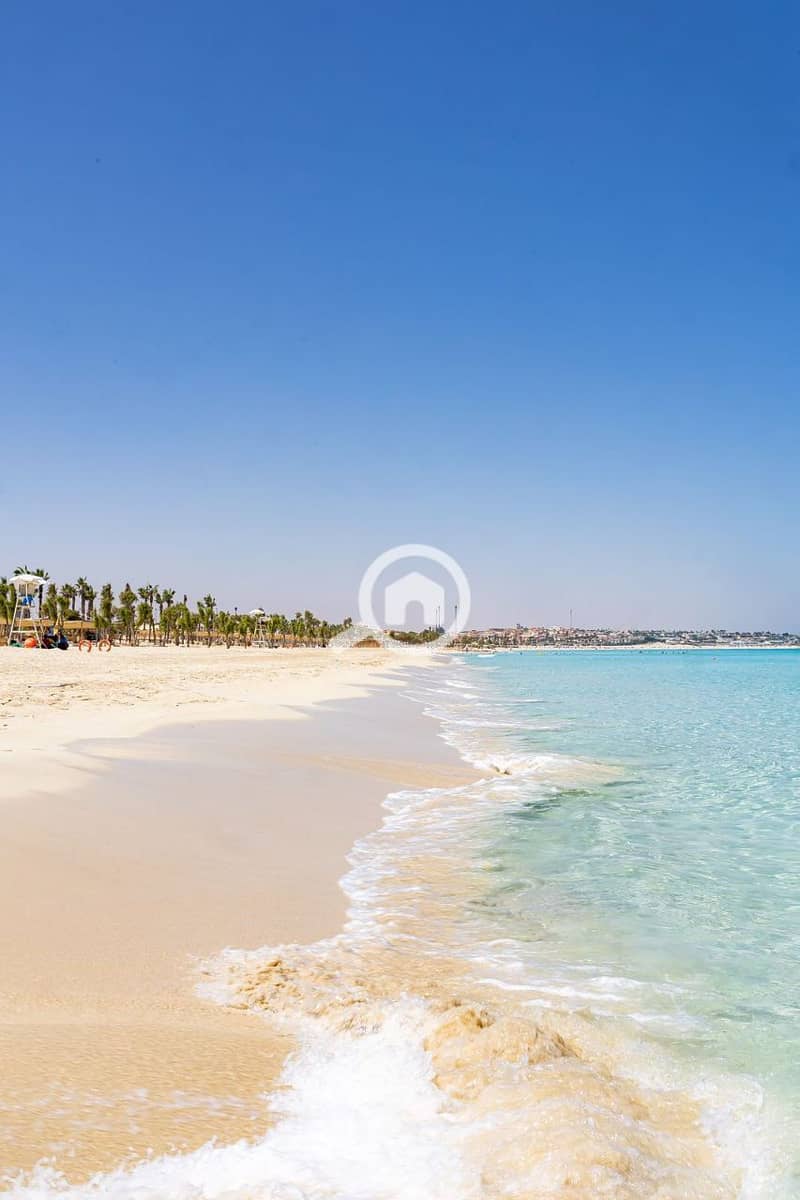 9 photo_2025-04-30_19-45-47. jpg