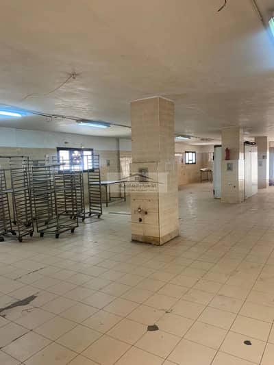 Factory for Rent in Obour City, Cairo - WhatsApp Image 2025-11-04 at 8.51. 39 PM. jpeg Factory for Rent in Obour City, Cairo - WhatsApp Image 2025-11-04 at 8.51. 39 PM. jpeg