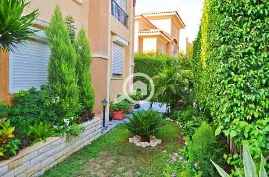 1000954595. jpg 1000954595. jpg