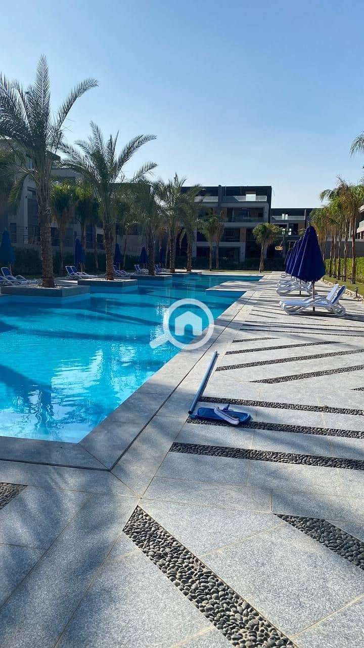 6 6019260742970228424_121. jpg