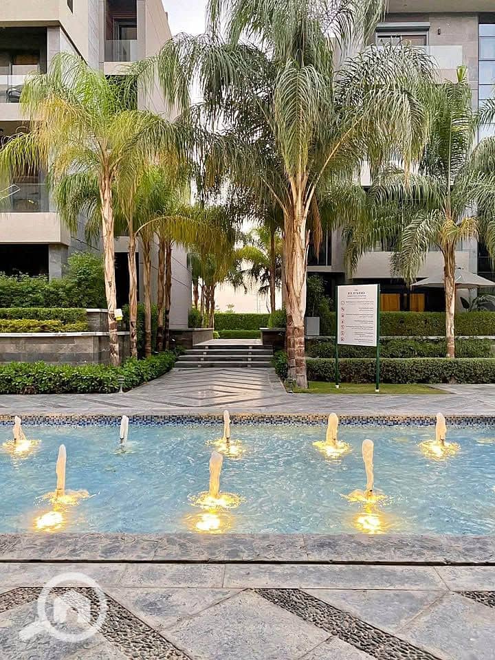 14 571197657_1158229533069005_4405282664668310972_n. jpg